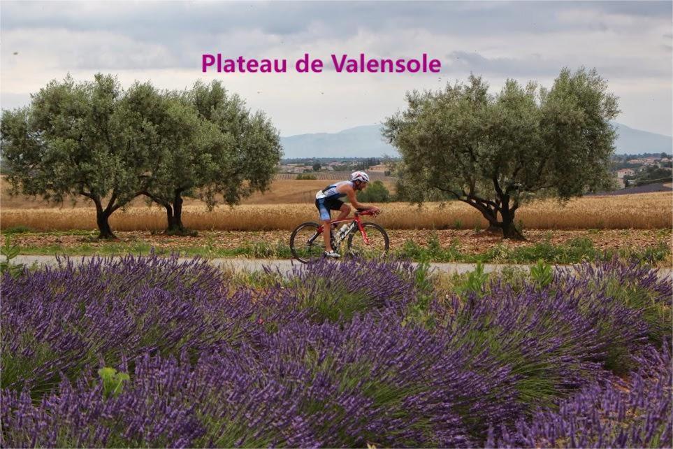 Tres Bel Appartement Avec Piscine Digne-les-Bains ภายนอก รูปภาพ